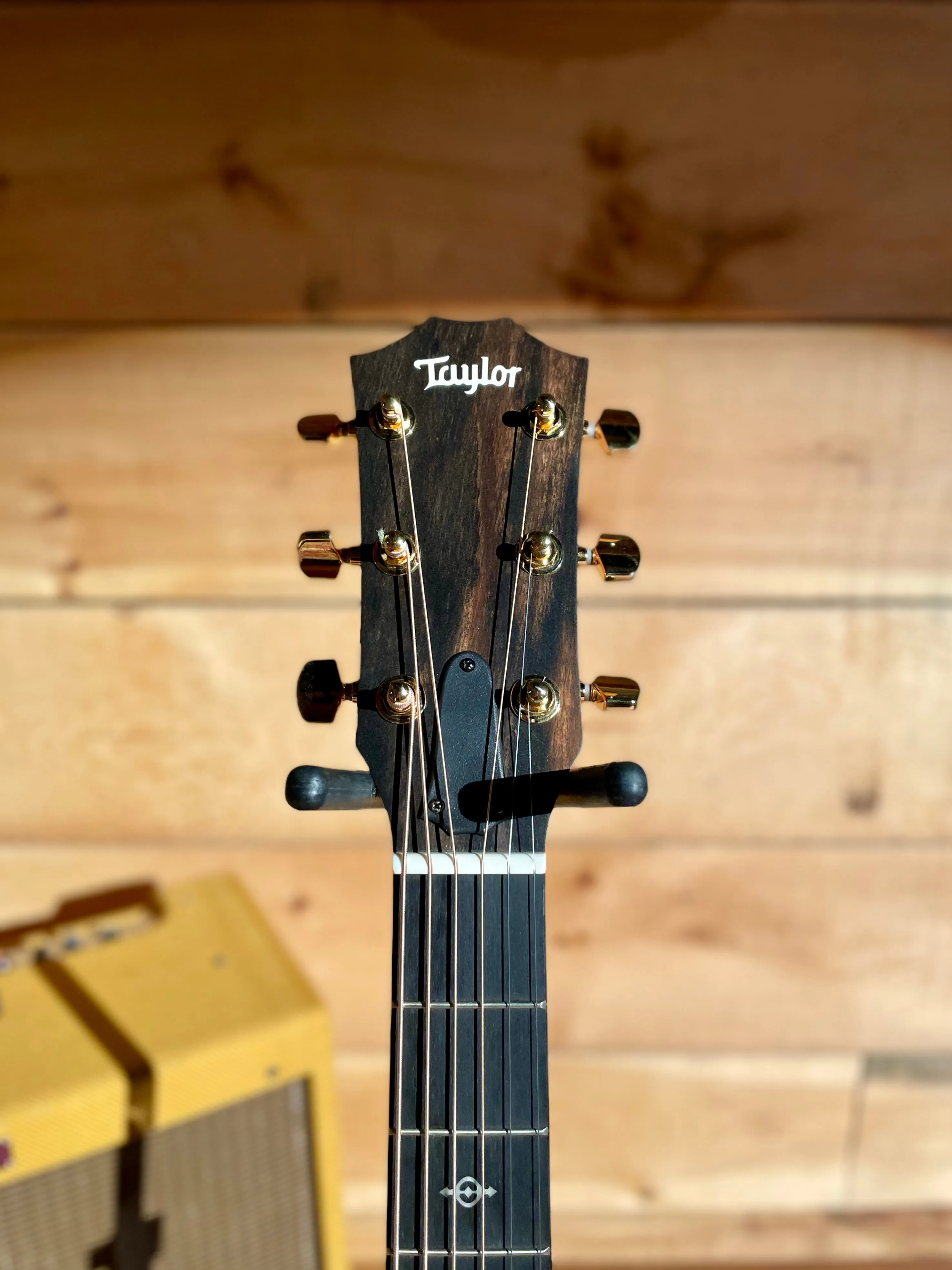 Taylor 224ce-K DLX